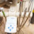 professional teeth cleaning and polisher