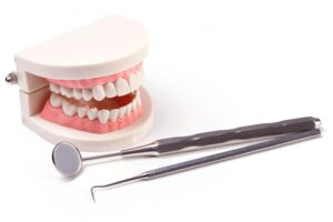 tooth crown model